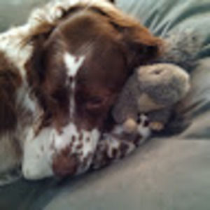 Meet your Posher, Annie